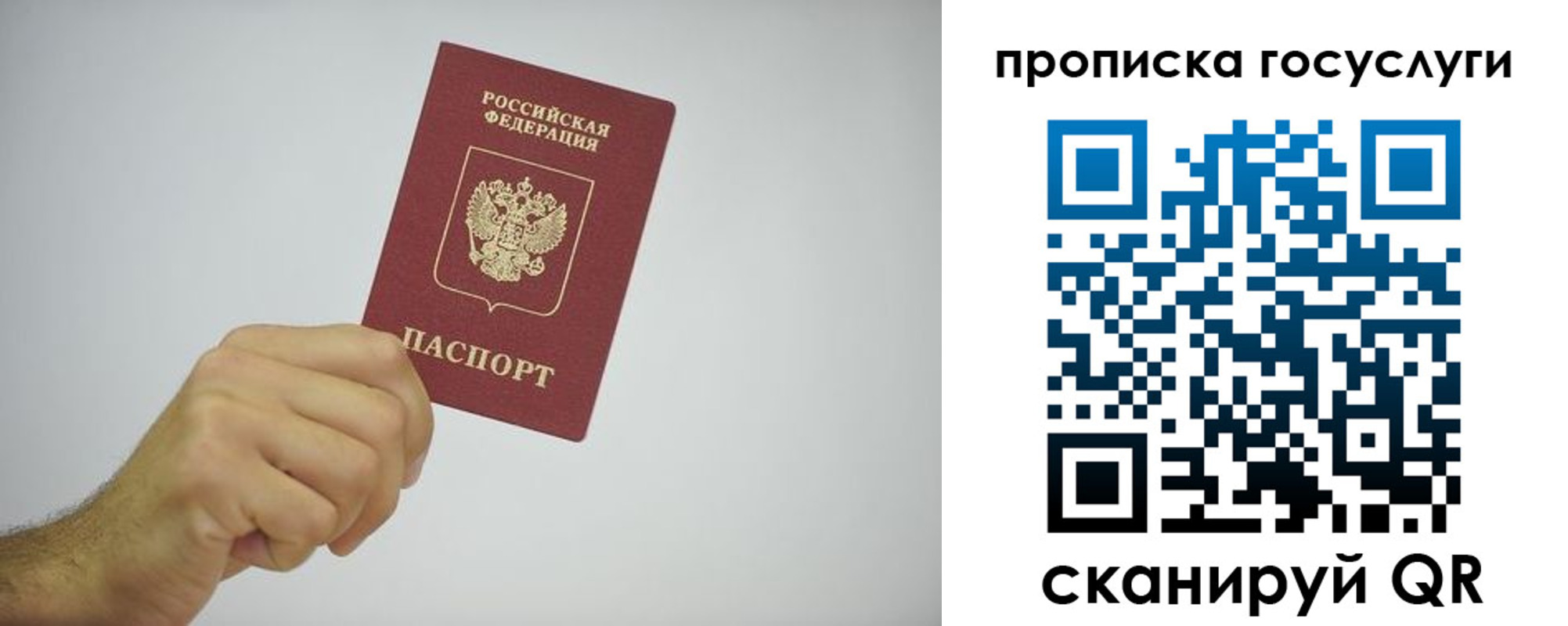 прописка законно в Орехово-Зуево